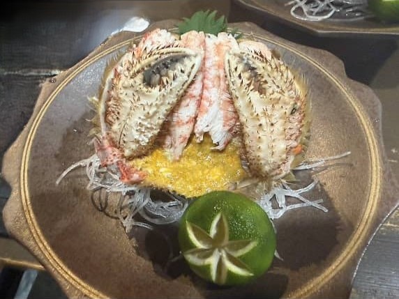 呑食処 元菊で楽しむ！極上生うにと幻の高級魚が彩る自慢の海鮮